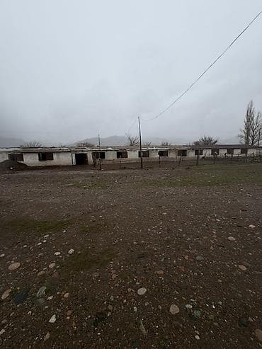 дачный участок бектоо: 113 соток — 1