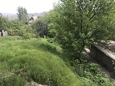 аламединское ущелье: 500 соток — 1