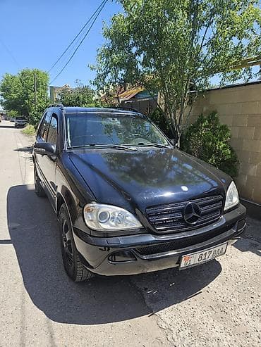 carplay android: Mercedes-Benz ML-Class: 2002 г., 3.2 л, Автомат, Бензин, Кроссовер — 2