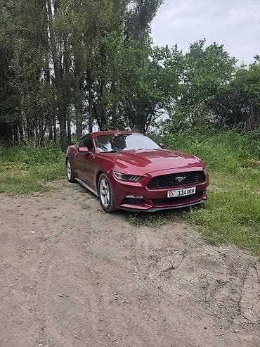 утиный хвост: Ford Mustang: 2017 г., 3.7 л, Автомат, Бензин, Купе — 2