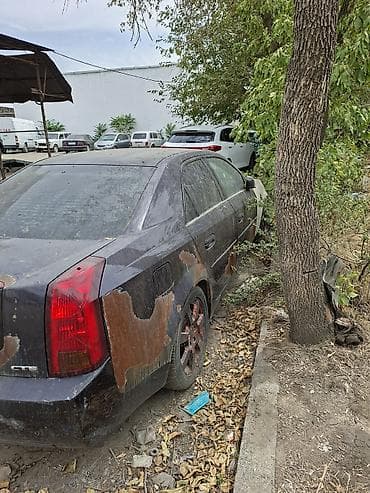 продаю кадиллак: Cadillac CTS: 2008 г., 2 л, Автомат, Бензин, Седан — 4