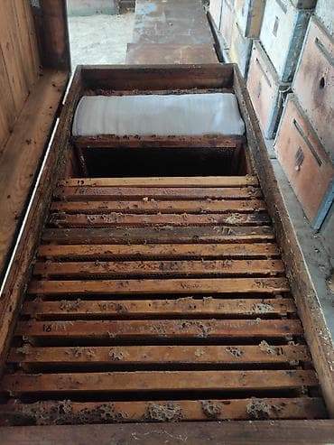 скворечник бишкек: Продам пчел зимовалых с ульем (лежак)на 24 дадановских рамок все — 3