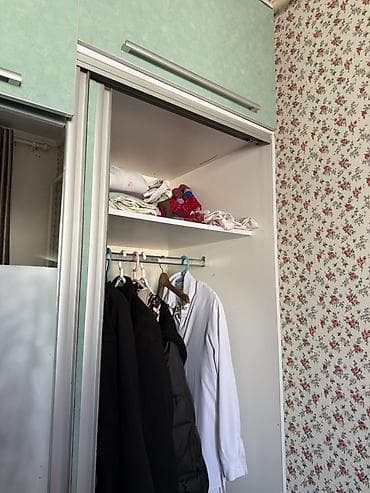 Кухонные принадлежности: Шкаф купе, С зеркалом, Другой материал — 1