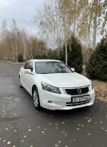 дом в колесах: Honda Accord: 2009 г., 3.5 л, Автомат, Бензиновая, Седан — 1