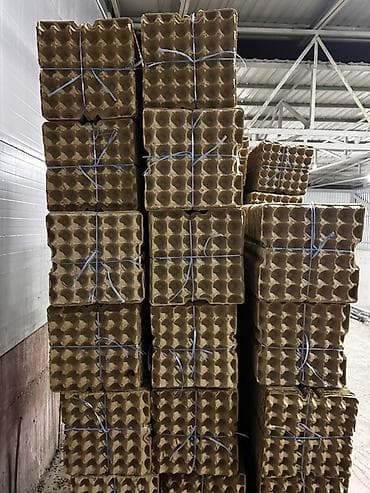 polo одежда: Ящик — 1