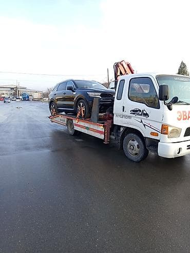 reno duster: С манипулятором — 4