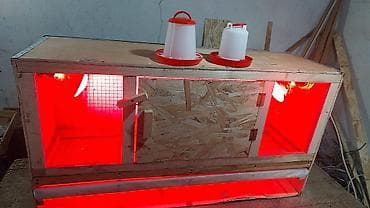 инкубатор норма парк: Универсальный Брудер, ясли для цыплят. сураныч, бар же жок экенсин — 3