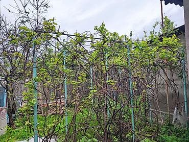 Сниму дом: 100 м², 5 комнат — 7