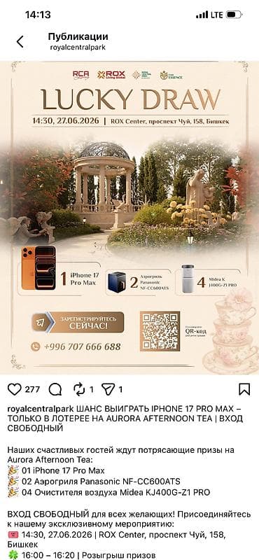 Ирис Аппалачи серый обмен на цунами с дп — 2