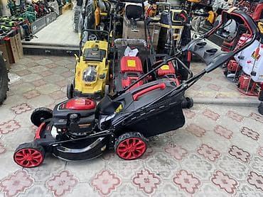 Үй жана бакча үчүн баардык: Газон чапкыч, Жаңы, Бензин, Төрт такттуу мотор — 3