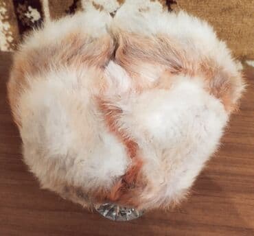 шапка с ушками которые поднимаются купить: Продаю шапку
Лисий мех
Размер 54 см
Состояние хорошее
Пишите на вотсап — 3