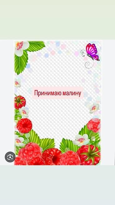Жер-жемиштер: Малина Дүңүнөн — 1