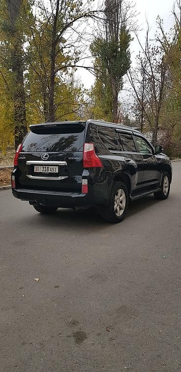lexus 600: Lexus GX: 2010 г., 4.6 л, Автомат, Бензин, Внедорожник — 5