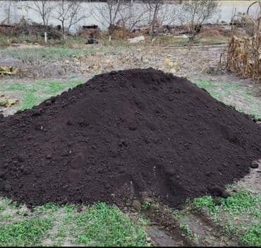 сколько стоит мешок угля в бишкеке: В тоннах, Бесплатная доставка, Платная доставка, Портер, Зил, Камаз — 1