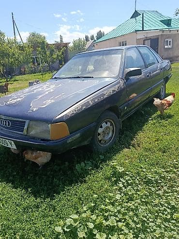 nardo grey: Audi 100: 1991 г., Бензин, Седан — 2