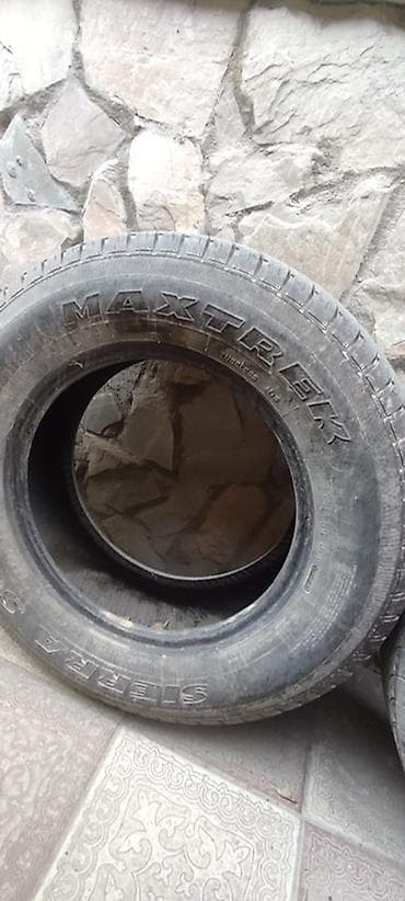 r15 100: Шины 225 / 70 / R 16, Лето, Комплект, Внедорожные (АТ/МТ), Maxtrek — 6