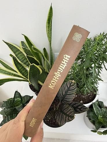 local guide program: Книга «Конфуций. Я верю в древность» - Серия: Библиотека всемирной — 3