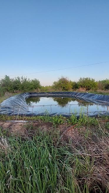 комната бишкек аренда: 120 соток, Для сельского хозяйства, Договор купли-продажи — 4