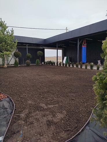 кап мешок: Газонная смесь DLF Seeds & Science - Профессиональные семена для — 8