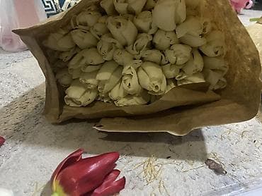 цветочные подставки: Тюльпаны срезанные, упаковка по тюку в крафт-бумаге. - Палитра — 2