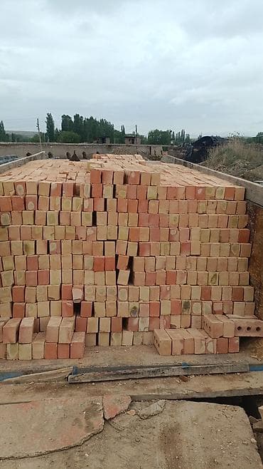 Пустотелый, дырчатый, Жженый кирпич, Полублок, 250×120×88