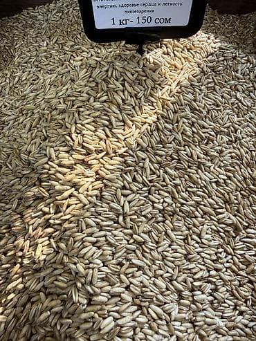 кукурузная крупа: Овёс голозёрный 🌿 Продажа оптом и в розницу. Оптом от 25 кг и выше — 3