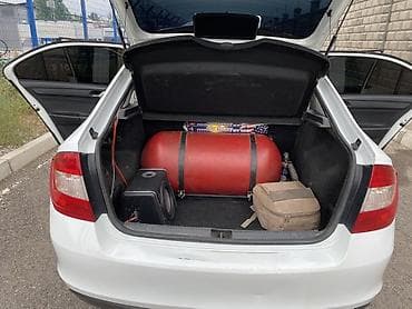 белорус 82 1: Skoda Rapid: 2017 г., 1.6 л, Механика, Газ, Седан — 8