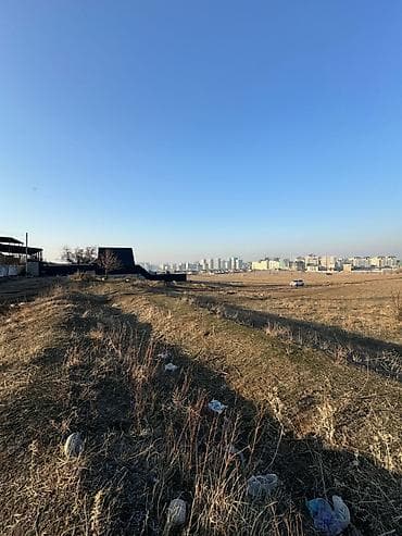 алла тоо: 6 соток, Үлүштүк катыш келишими — 3