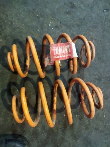 наборные гантели с поворотным механизмом: Задняя пружина амортизатора Daewoo 2023 г., Новый, Оригинал — 1