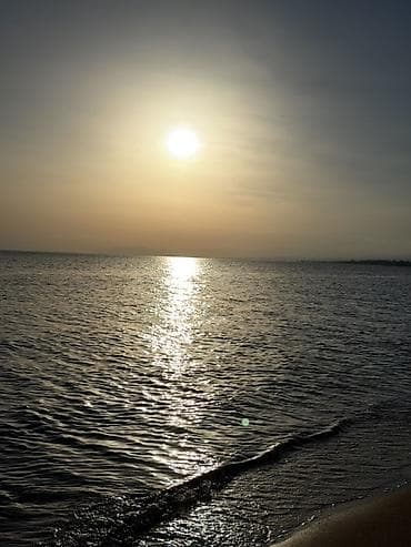 маловодный: Апартаменты 33,48 м² в Seven Sunny Days, Кара-Ой — инвестиция у самого — 4