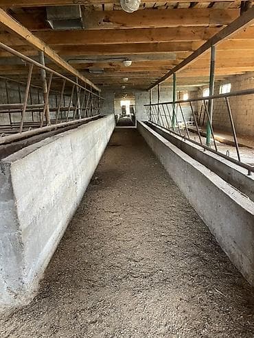 отдых ыссык куль: Продаётся дом в с. Ленинское по улице Восточная Участок 21 сотка — 9