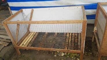 собачий дом: Продоются клетки для кроликов.одноместные(?100) см.и — 6