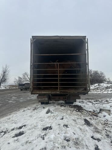 троктор 82 1: Грузовик, Mercedes-Benz, 7 т — 5