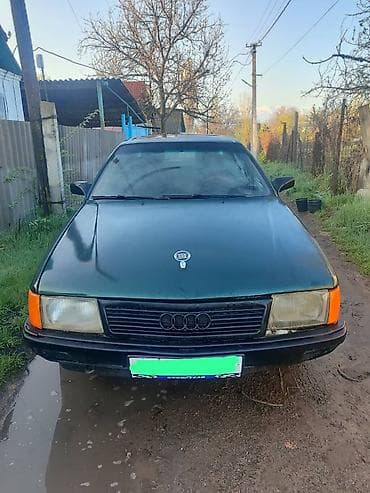 старый муравей: Audi 100: 1989 г., 1.8 л, Ручные, Бензин, Седан — 5