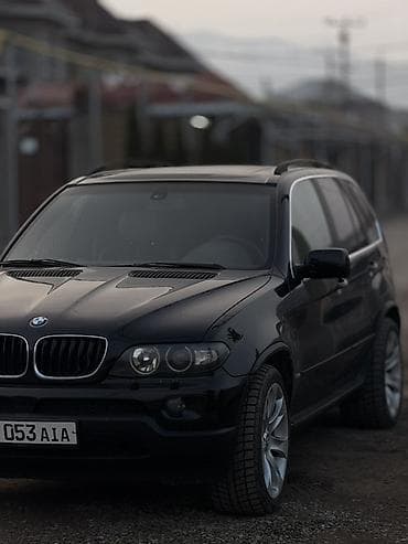 летняя резина 16: BMW X5: 2002 г., 4.4 л, Автомат, Бензин, Внедорожник — 7