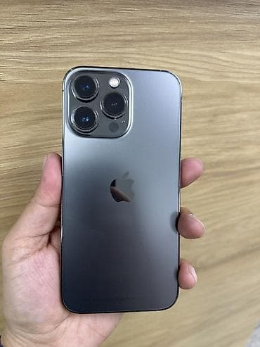 IPhone 13 Pro, 256 ГБ, Графит, 74 %