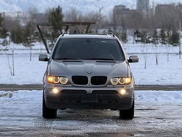 BMW X5: 2004 г., 3 л, Автомат, Бензин, Кроссовер