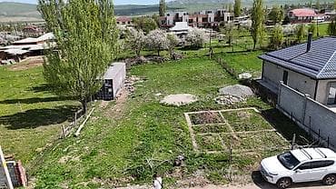 8 соток, Курулуш, Кызыл китеп — 5