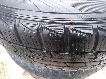 Шиналар жана дисктер: Зимние шины Dunlop на дисках KIA Торг уместен - Марка/модель: Dunlop — 3