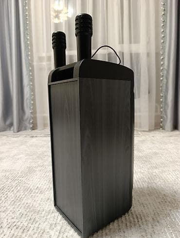 samsung 21s: Портативная акустическая система с караоке - Форм-фактор — 4