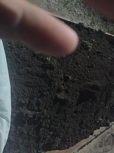 ящики деревянные для фруктов: Камаз — 3