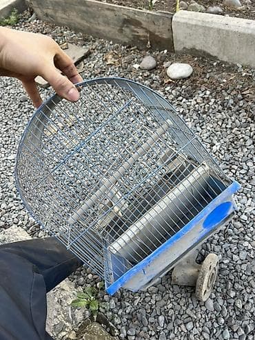 птичий рынок: Клетка для мелких птиц - Купольная металлическая клетка для канареек — 1