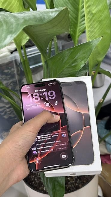 macbook 11: IPhone 16 Pro Max, Natural Titanium, 100 % — 2