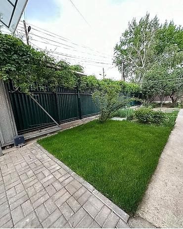 растения для офиса: 🌿 Газон 🌿Посев газона 🌿Сеем газон 🌿 Озеленение территории 🌿Газон — 1