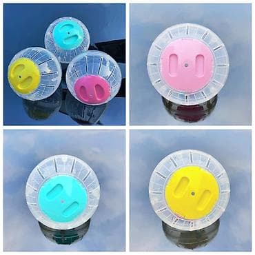 Башка жаныбарлар: ПРОДАЮ ДЖУНГАРСКИХ И СИРИЙСКИХ ХОМЯЧКОВ,А ТАК ЖЕ — 6