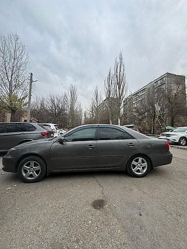 самри 55: Каркасная тонировка, Новый, Платная доставка, Самовывоз — 9