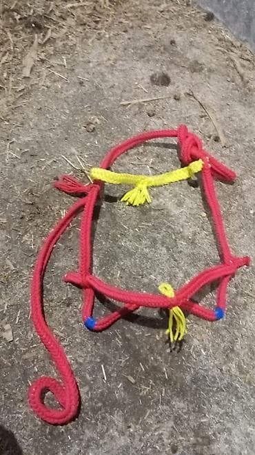 Грызуны: Верховая узда/недоуздок ручного плетения из прочного синтетического — 4