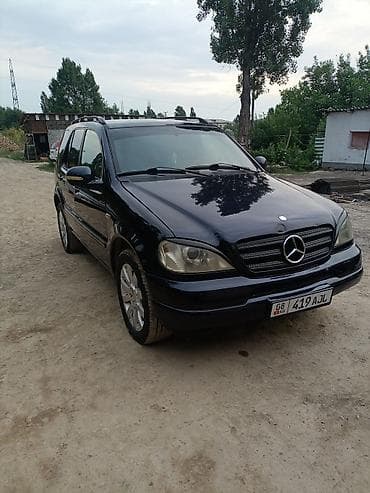 Mercedes-Benz ML-Class: 2000 г., 3.2 л, Автомат, Бензин, Кроссовер — 1