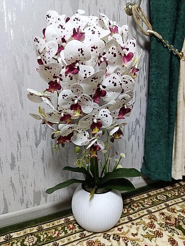Искусственная орхидея в кашпо - Эффектная композиция из орхидей