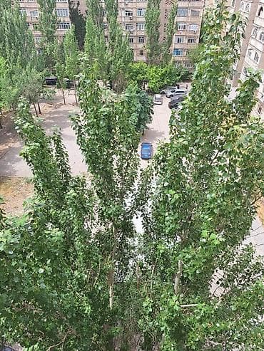 1room flat: 1 комната — 5